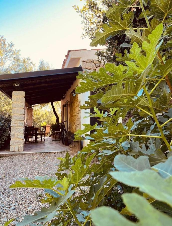 Ovostolai Cottage Fonni Eksteriør bilde