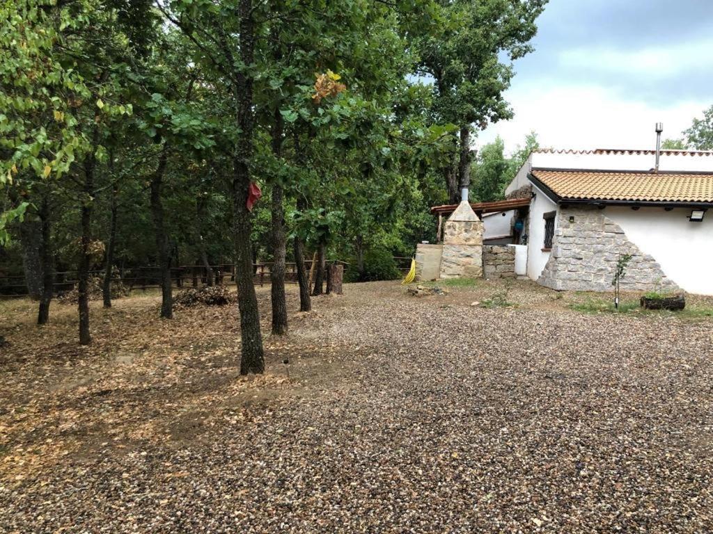 Ovostolai Cottage Fonni Eksteriør bilde
