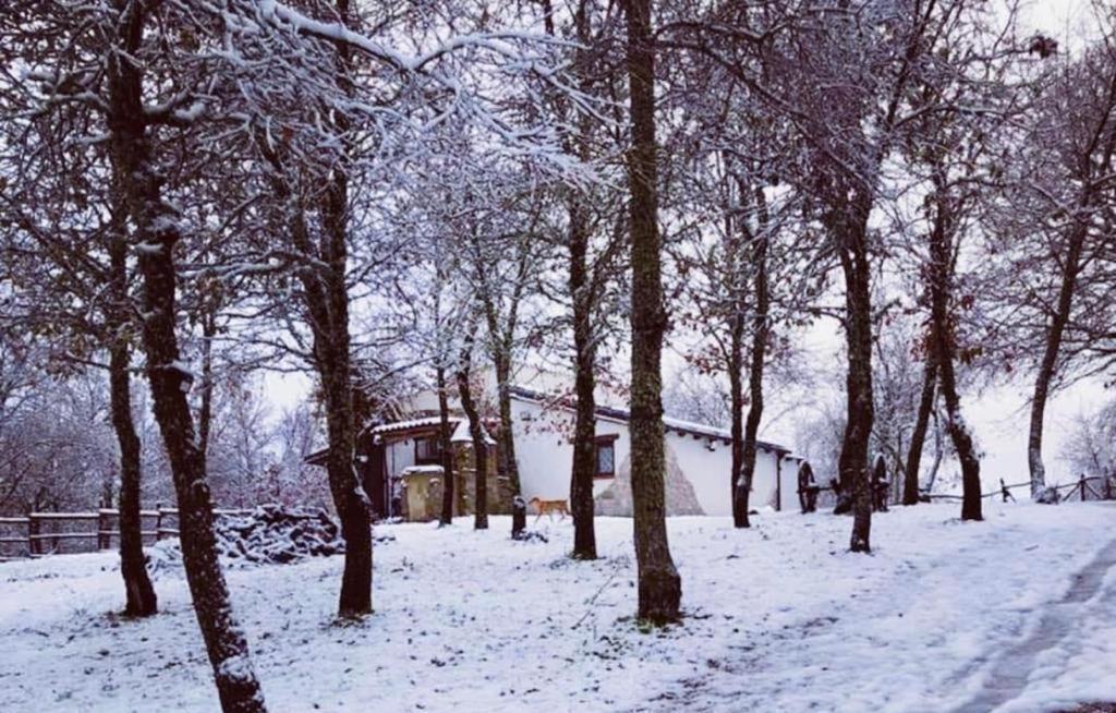 Ovostolai Cottage Fonni Eksteriør bilde