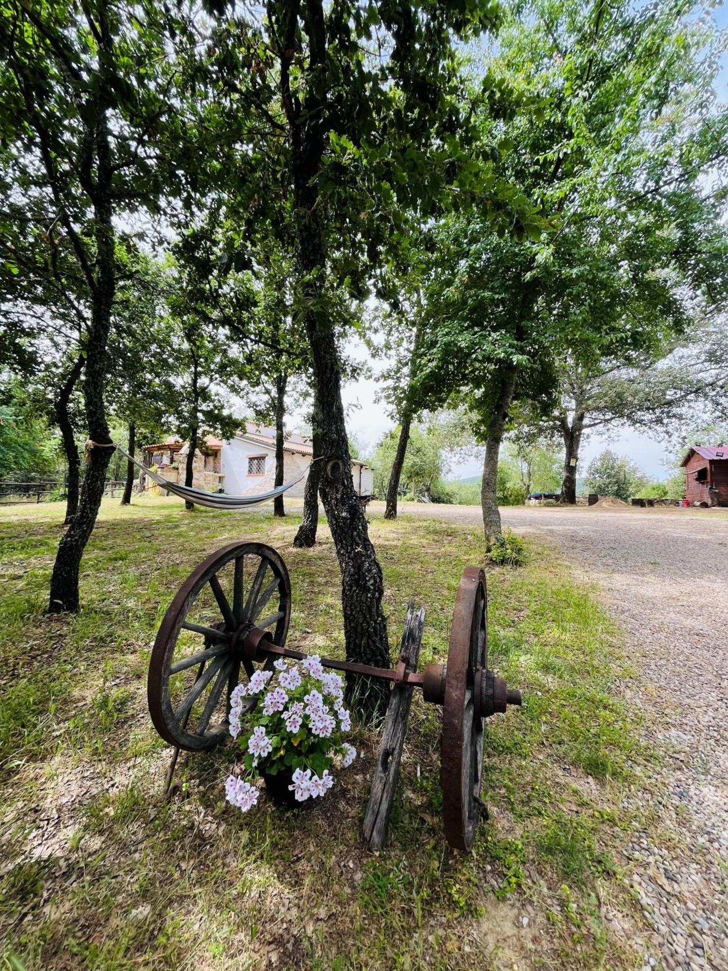 Ovostolai Cottage Fonni Eksteriør bilde